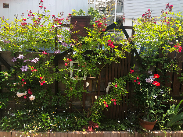 ほしにし Open Garden